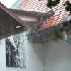 Preventing Potential Clogged Gutters